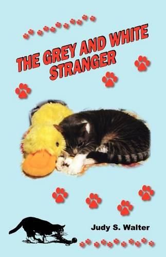 Cover image for The Grey and White Stranger