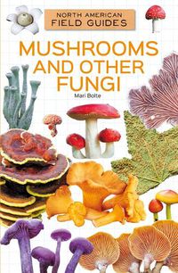 Cover image for Mushrooms and Other Fungi