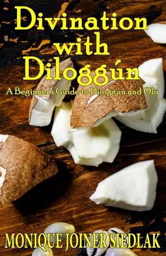 Cover image for Divination with Diloggun: A Beginner's Guide to Diloggun and Obi