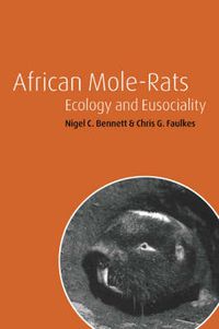 Cover image for African Mole-Rats: Ecology and Eusociality