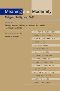 Cover image for Meaning and Modernity: Religion, Polity, and Self