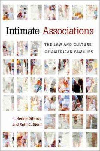 Cover image for Intimate Associations: The Law and Culture of American Families