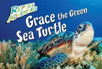 Cover image for Grace the Green Sea Turtle