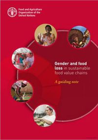 Cover image for Gender and food loss in sustainable food value chains: a guiding note