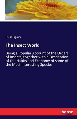 Cover image for The Insect World: Being a Popular Account of the Orders of Insects, together with a Description of the Habits and Economy of some of the Most Interesting Species