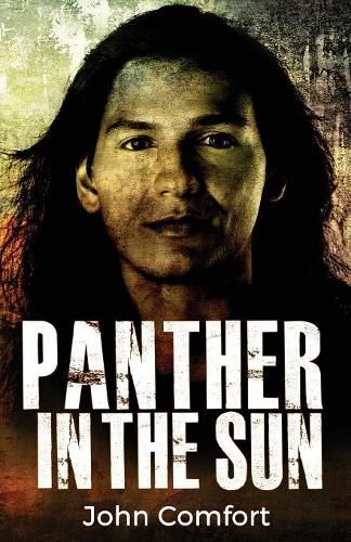 Cover image for Panther in the Sun