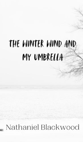 Cover image for The Winter Wind and My Umbrella