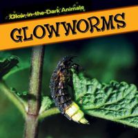 Cover image for Glowworms