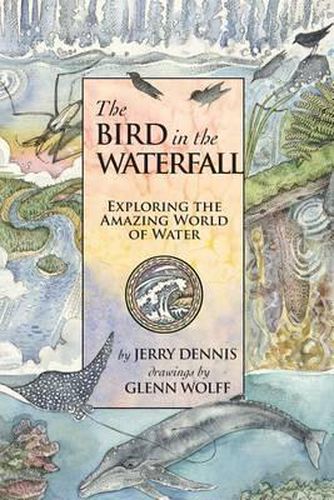 Cover image for The Bird in the Waterfall: Exploring the Wonders of Water