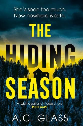 Cover image for The Hiding Season
