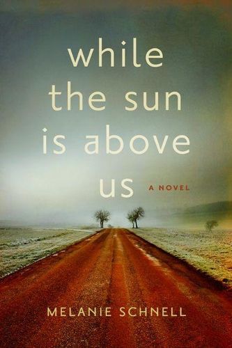 Cover image for While the Sun Is Above Us