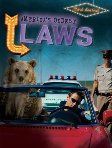 Cover image for America's Oddest Laws