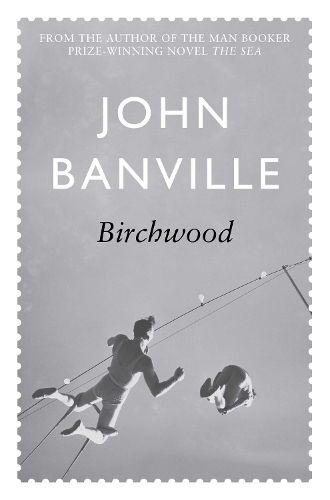 Cover image for Birchwood