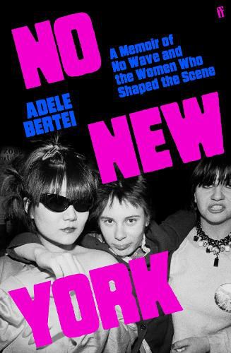 Cover image for No New York