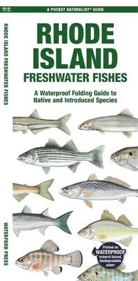 Cover image for Rhode Island Freshwater Fishes