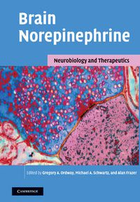 Cover image for Brain Norepinephrine: Neurobiology and Therapeutics