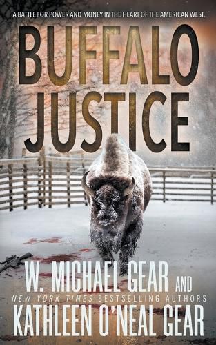 Cover image for Buffalo Justice