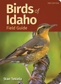 Cover image for Birds of Idaho Field Guide