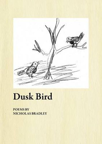 Cover image for Dusk Bird