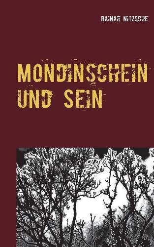 Cover image for Mondinschein und Sein: Fantasy-Horror-Nachtgeschichten. Ruf der Mondin .