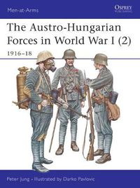 Cover image for The Austro-Hungarian Forces in World War I (2): 1916-18