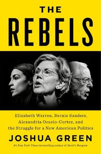 Cover image for Untitled On American Politics: Warren Sanders, AOC, and the Storming of the Democratic Party