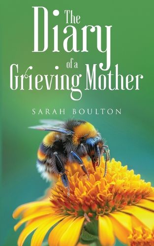 Cover image for The Diary of a Grieving Mother