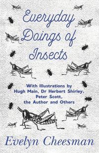 Cover image for Everyday Doings of Insects - With Illustrations by Hugh Main, Dr Herbert Shirley, Peter Scott, the Author and Others