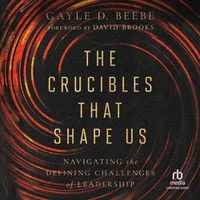 Cover image for The Crucibles That Shape Us