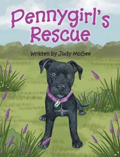 Cover image for Pennygirl's Rescue