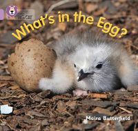 Cover image for What's in the Egg?: Band 00/Lilac