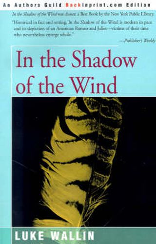 Cover image for In the Shadow of the Wind