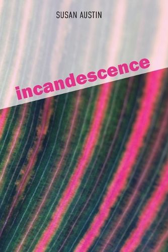 Cover image for Incandescence
