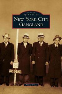 Cover image for New York City Gangland