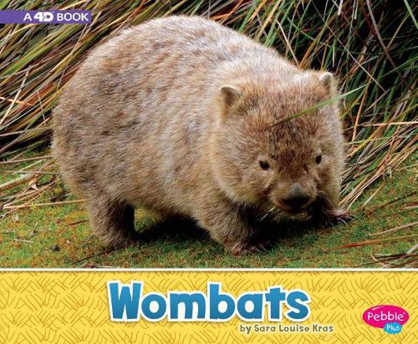 Cover image for Wombats: A 4D Book