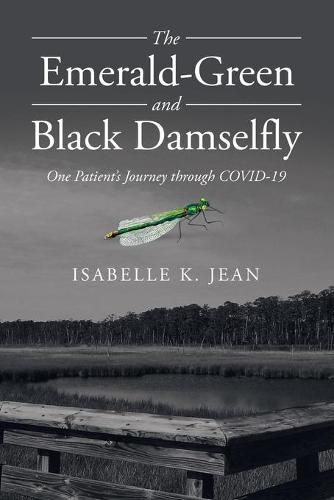 Cover image for The Emerald-Green and Black Damselfly: One Patient's Journey Through Covid-19