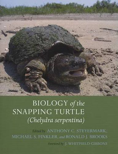 Cover image for Biology of the Snapping Turtle: Chelydra Serpentina