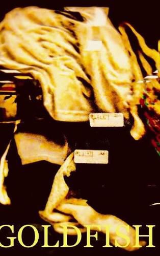 Cover image for Goldfish