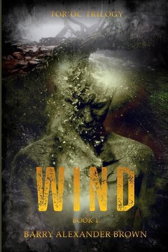 Cover image for Wind