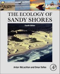 Cover image for The Ecology of Sandy Shores