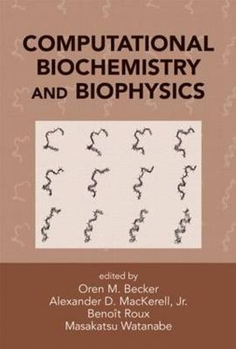 Cover image for Computational Biochemistry and Biophysics