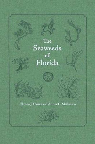 Cover image for The Seaweeds of Florida