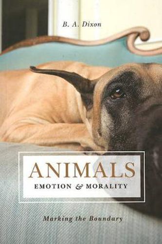 Cover image for Animals, Emotion, & Morality: Marking the Boundary
