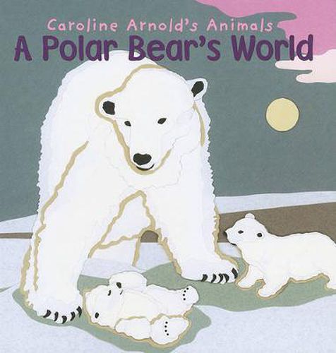 Cover image for A Polar Bear's World