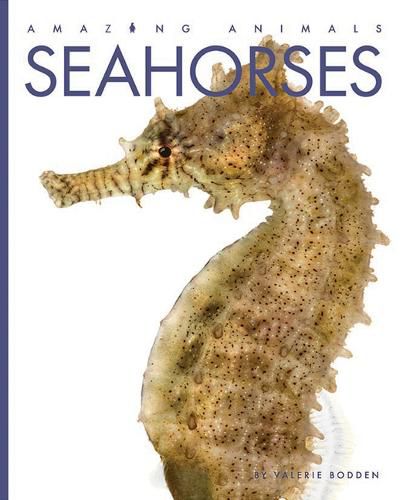 Cover image for Seahorses