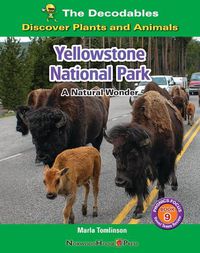 Cover image for Yellowstone National Park: A Natural Wonder
