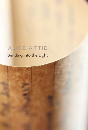 Cover image for Bending into the Light