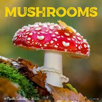 Cover image for Mushroom (the Art of The) 2025 12 X 12 Wall Calendar