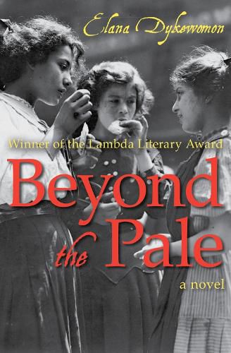 Cover image for Beyond the Pale: A Novel