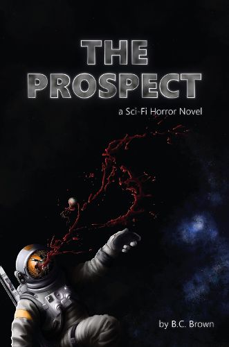 Cover image for The Prospect